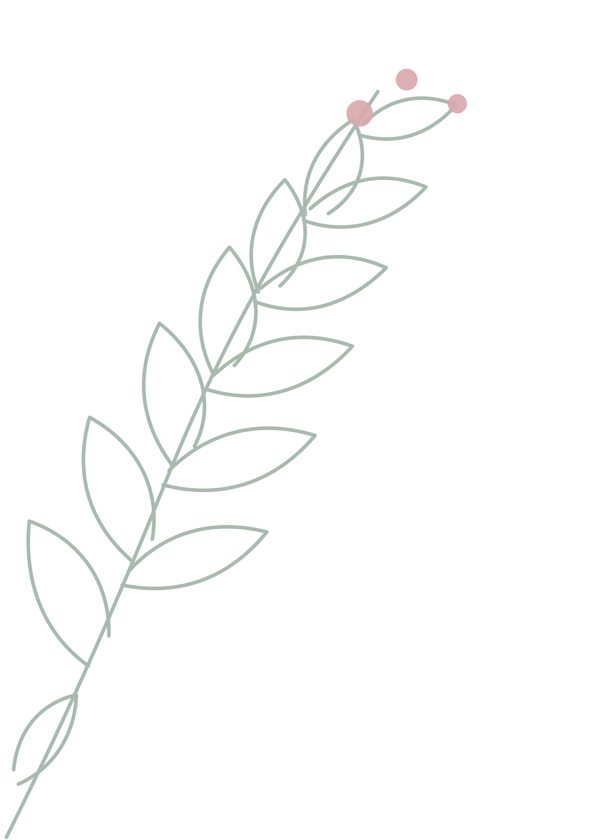 Big Twig