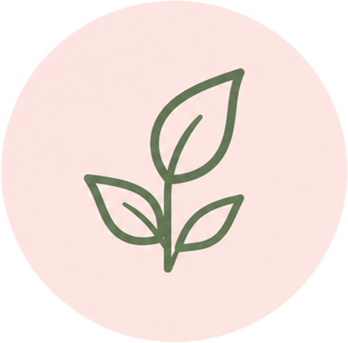 Programs